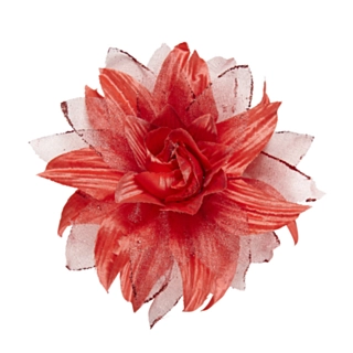 Tropisk Hårblomma Röd