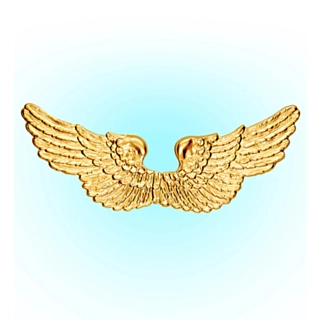 Änglavingar Guld