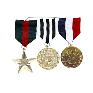 Hedersmedaljer