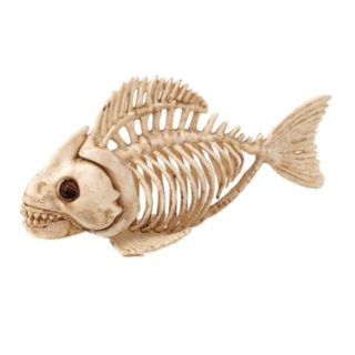 Fiskskelett