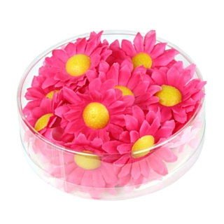Margetitblommor Rosa