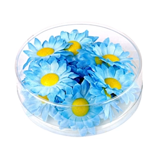 Margetitblommor Blå