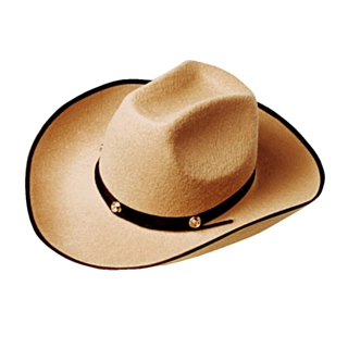 James Cowboyhatt Beige