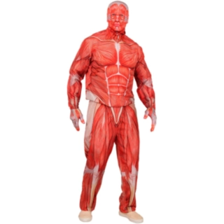 Anatomisk Man Maskeraddräkt Röd