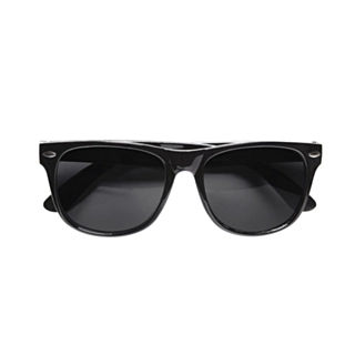 Wayfarer Solglasögon