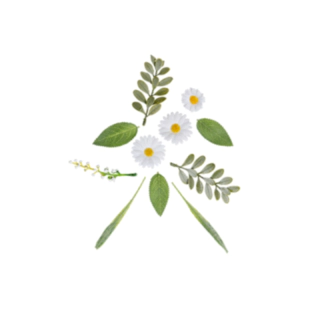 Prästkrage Konstgjorda Blommor Vit/Gul/Grön