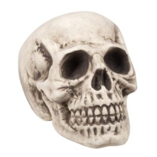 Dödskalle Dekoration Vit