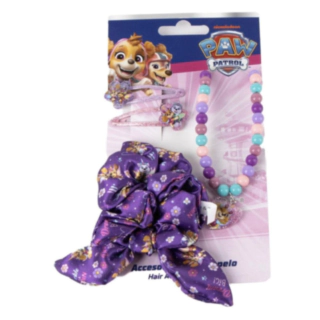 Paw Patrol® Skye & Everest Hårtillbehör