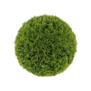 Konstgjord Cypress Dekorationsboll Grön
