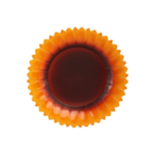 Solros plasttallrik