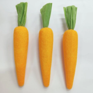 Morot Dekoration Orange/Grön