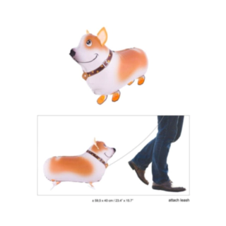 Corgi Folieballong