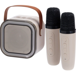 Bluetooth Karaokehögtalare Med Mikrofoner