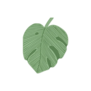Monstera Servietter Grøn