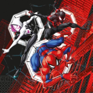 Spider-Man® World Of Webs Servetter