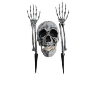 Dödskalle & Skeletthänder