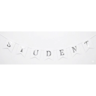 Student Girlang Silver