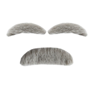 Gammal man ögonbryn & mustasch grå