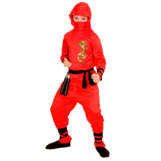 Drake Ninja Barndräkt