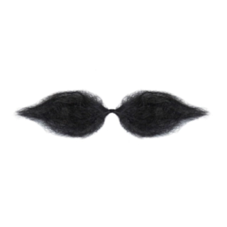 Schnauzer Mustasch Svart