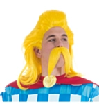 Asterix® Trubadurix Peruk & Mustasch