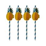 Ananas Papperssugrör Blå/Vit