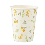 Citron Pappersmuggar