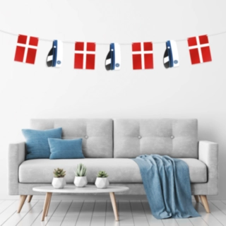 Student Flaggirlang Blå
